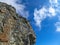 Monviso - Wild mountain goat (alpine chamois) in Grana Valley near mountain summit Monte Viso