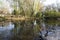 Monza Park: Lambro river