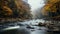 Moody Autumn River With Rocks: A Hallyu-inspired Tranquil Scene