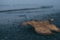 Moody autumnal leaf on a beach in italy