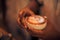 Moody coffee background, latte art on wooden table