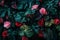 Moody dark black background with neon lit massive dark green leaf and many pink and red roses