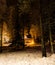 Moody Dark Gloomy Snowy Forest With A Lit Fireplace