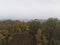 Moody fall landscape with with fog over the treetops. Autumn forest with brown, yellow and green foliage.