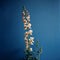 Moody Floral Photography: Tall Foxglove Flower On Blue Canvas