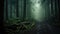 Moody Forest Pathway Covered In Mist Enchanting Forest Scene Perfect For Halloween Ambiance