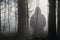 A moody forest. With sunlight silhouetting the trees, on a misty winters day. With a spooky hooded figure over layered on top.