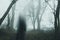 A moody horror edit of a blurred, transparent ghost standing in a forest. On a bleak foggy, winters day