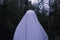 A moody horror edit of a ghost with a sheet over it`s head. Standing in a forest