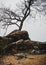 Moody landscape, monochrome, rustic orange, tree, rocks, boulders