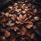 Moody leaves lie on forest floor in dark red and browns