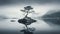 Moody Monotone: Serene Rock With Lone Tree In Calm Lake