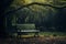 Moody nature envelops an isolated bench, a couple lost within