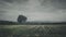 Moody rural landscape panorama