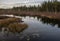 Moody sky over a bog late on an autumn day