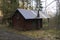 Moody Spooky Old abandoned Hut in Forest