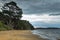 Moody view of a beach. Storm clouds over lapping waves and conifer trees