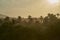 moody and warm golden sunset over a misty forest of palm trees at Tayrona national park