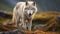 Moody White Wolf On Rocky Terrain: Ethical Concerns And Real-life Depiction