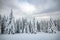 Moody winter landscape of spruce forest cowered with deep snow in white cold frozen mountains
