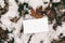 Moody winter styled stock photo. Closeup of blank business card mock-up on frozen ground with dry maple leaves and snow
