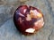 Mookaite - one of the most colorful minerals from Australia