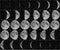 Moon 30 day phases