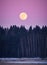 Moon above the forest at night