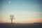 moon aligning with a lonely tree in a field