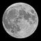 Moon on black sky without stars at midnight with lunar craters t