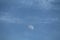 Moon and Cirrus fibratus clouds in blue daytime sky