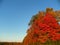 Moon in the distance over trees in full fall colors