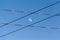 Moon and electric wires, St.Petersburg