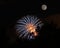 Moon and Fireworks