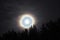 Moon halo night sky stars and blue clouds over forest