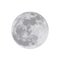 The moon isolated on white background. Vector illustration. EPS