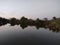 Moon, lake and reeds in the evening