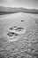 Moon-like surface of the Badwater Basin.