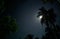 Moon lit night photo graphy