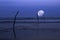 Moon over ocean, night scene