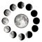 Moon Phases Infographic