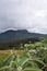 Moon Plains (sadatenna) in Nurawaeliya srilanka