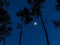 The moon with a ring around in a cloudless evening sky