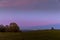 Moon rise abandoned tree on a hill at dark sunset with the rising moon in full moon over the horizon between nature and landscape