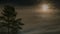 Moon rising behind fast moving thick clouds with some stars shine, close up view at pine tree at the left side of time lapse taken