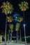 The moon shines at night among the palm trees in Menton