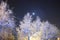 The moon in the sky. Street lamp. Night city skyline. Severe frost. Beauty of nature