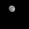 Moon Timelapse, Stock time lapse : Full moon rise in dark nature sky, night time. Full moon disk time lapse with moon light up in