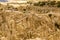 Moon Valley or Valle De La Luna canyon with eroded sandstone spikes panorama near La Paz, Bolivia