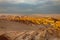 Moon Valley, Valle de la Luna at sunset, Atacama desert, Chile, South America